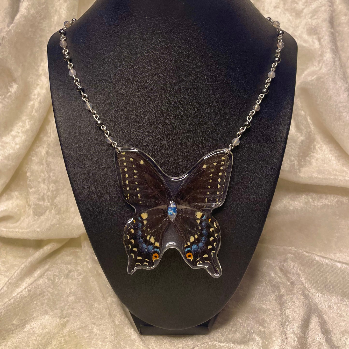 Resin Preserved Butterfly: Black Swallowtail (Locally Found)