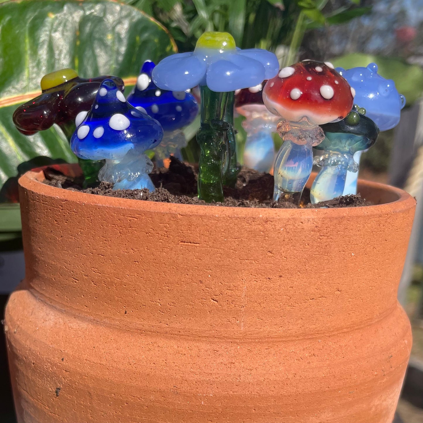 Plant Buddies (custom order)