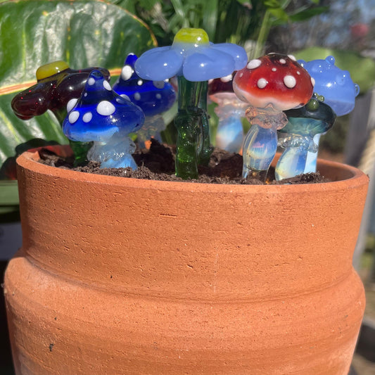 Plant Buddies (custom order)