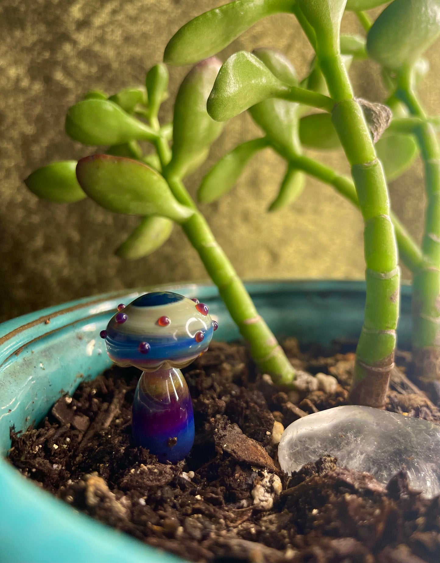 Plant Buddies (custom order)