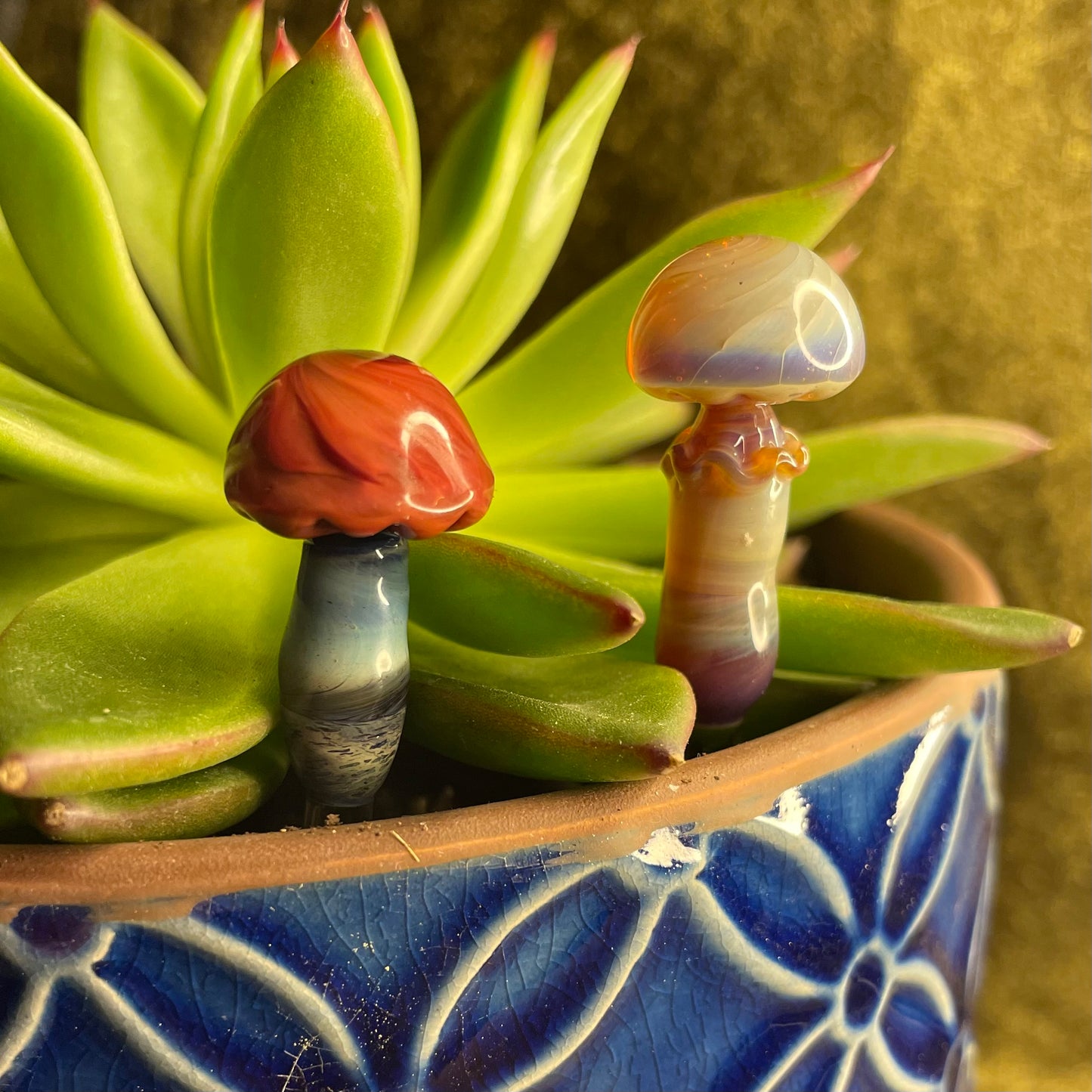 Plant Buddies (custom order)