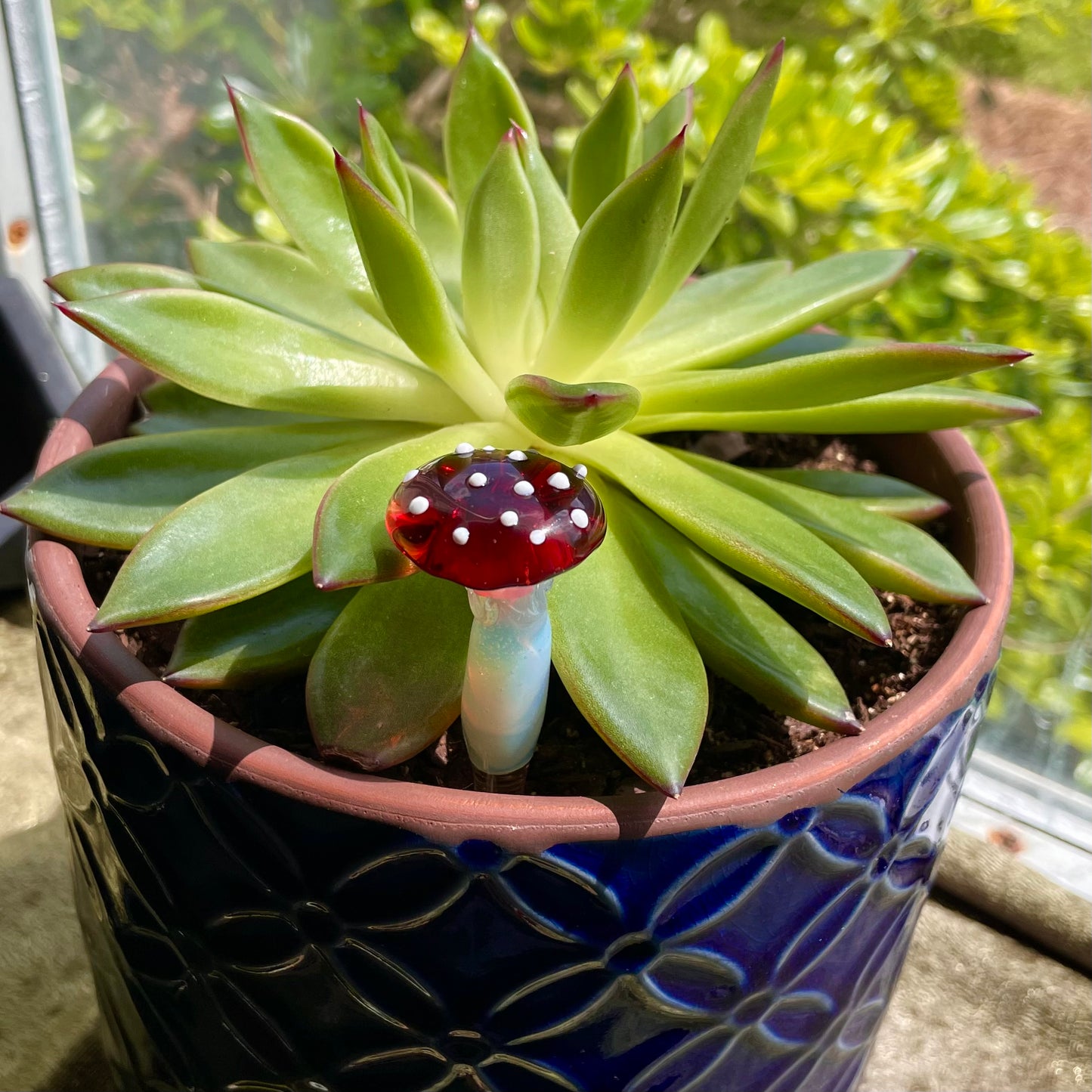 Plant Buddies (custom order)