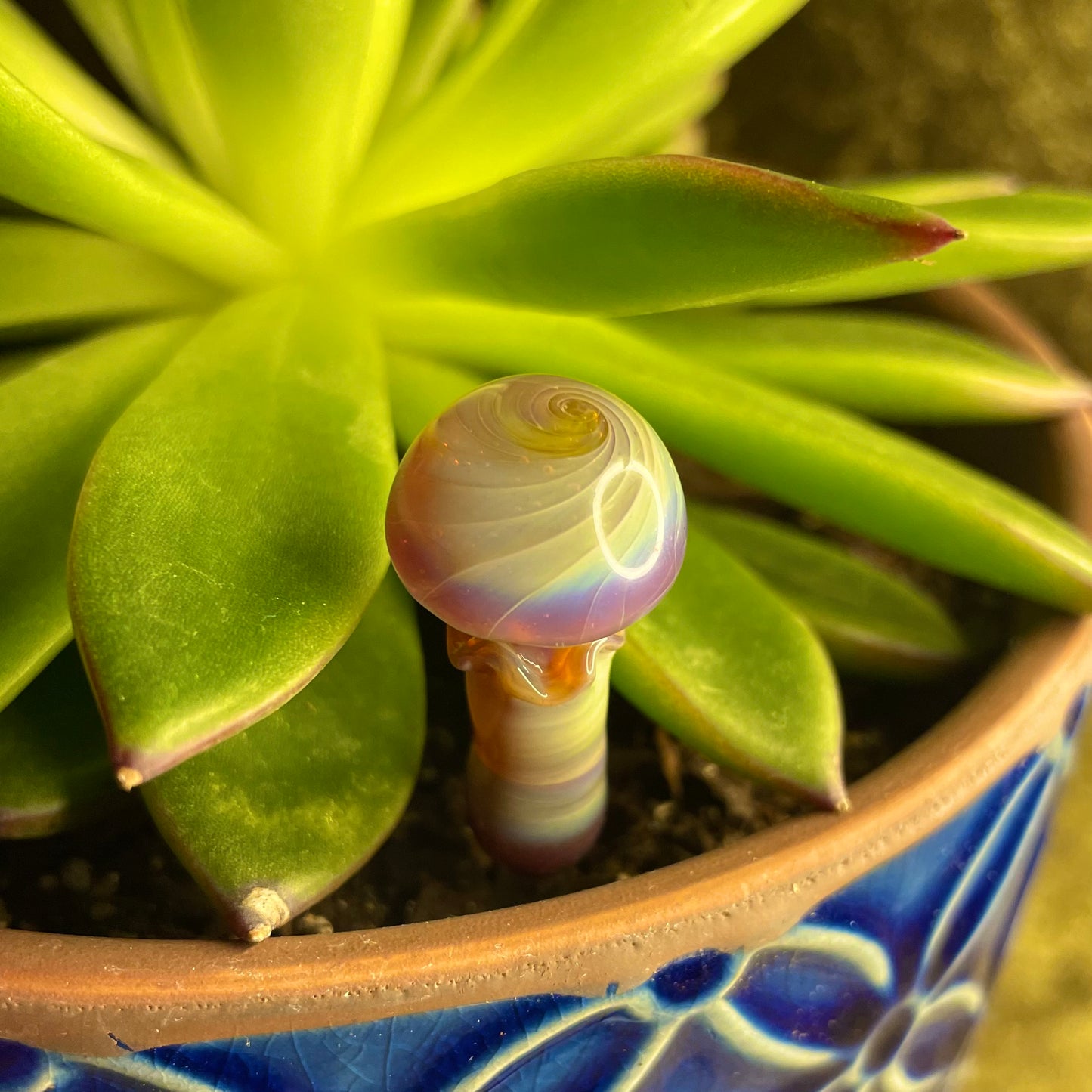 Plant Buddies (custom order)