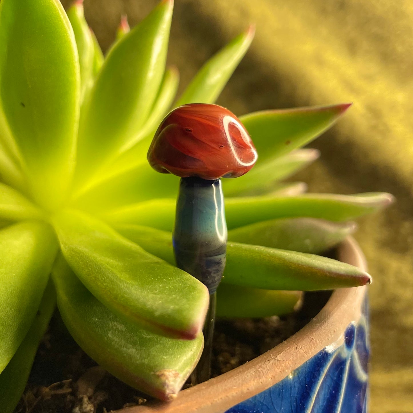 Plant Buddies (custom order)