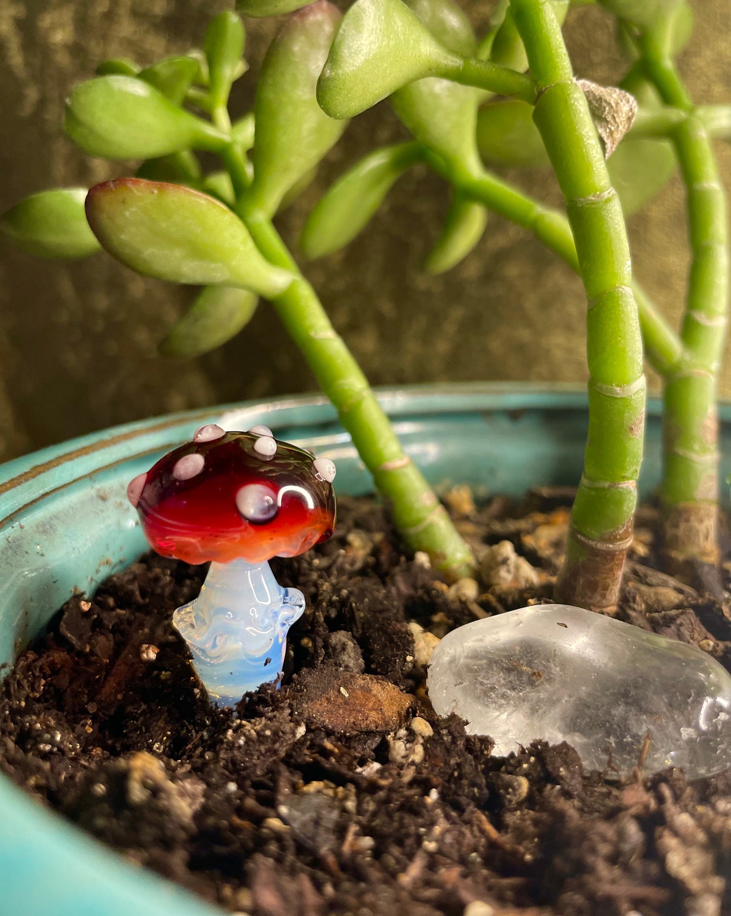 Plant Buddies (custom order)